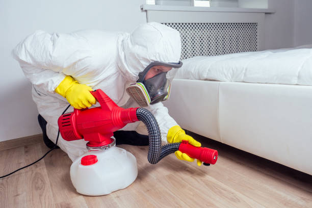 Best Insect Control  in New Richmond, OH
