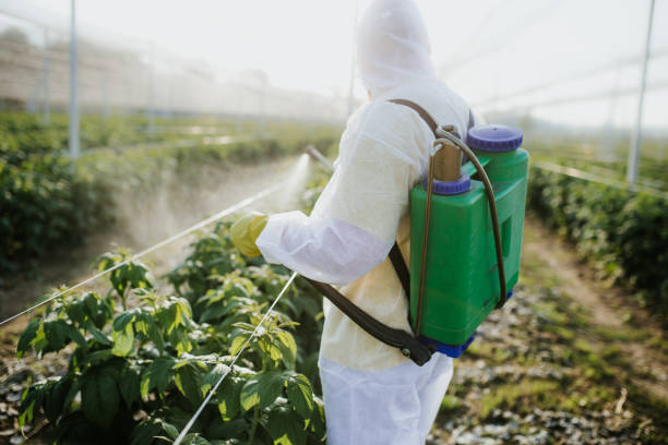 Best Exterminator Services  in New Richmond, OH
